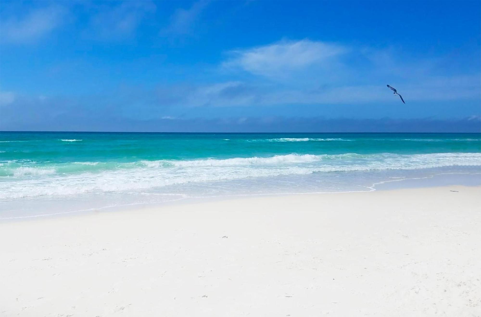 Twin Palms 804 Leilighet Panama City Beach Eksteriør bilde
